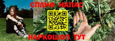 mdpv Ачхой-Мартан
