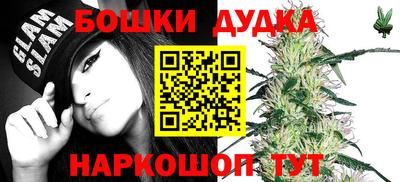 mdpv Ачхой-Мартан