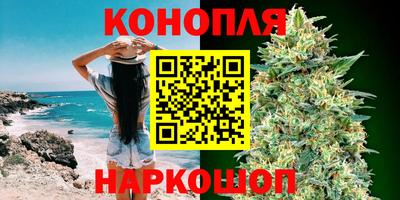 mdpv Ачхой-Мартан